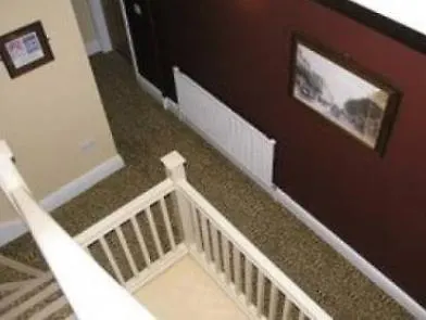 Мініготель The Wrens